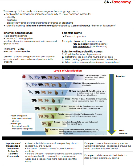 Taxonomy & Classification - LPHS BIOLOGY STAAR REVIEW