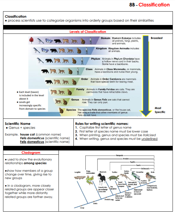 Taxonomy & Classification - LPHS BIOLOGY STAAR REVIEW